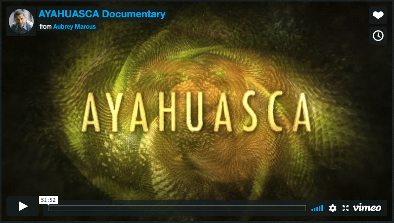 Top 3 Ayahuasca Documentaries for Entrepreneurs, Business Leaders and Startup Founders